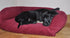 The Amberley Dog Sofa Small